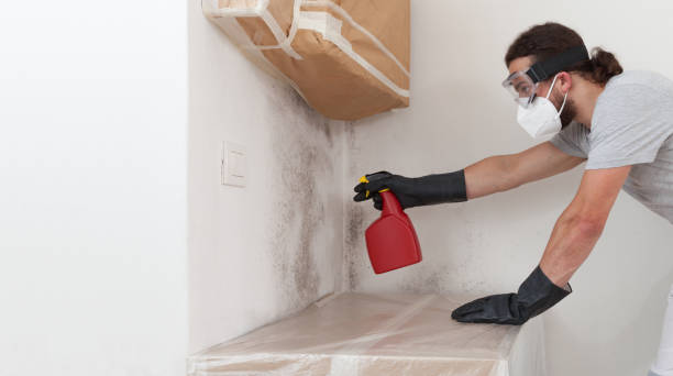 Professional Bathroom Mold Removal technician working in Springfield, FL