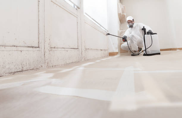 24/7 Emergency Bathroom Mold Removal experts in Springfield, FL